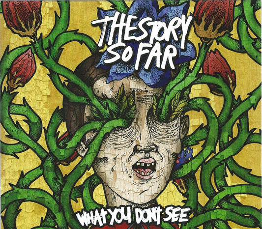 The Story So Far – What You Don't See - USED CD