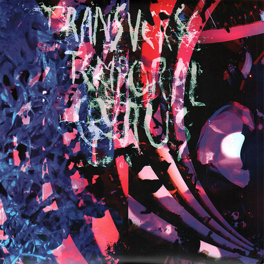 Animal Collective - Transverse Temporal Gyrus - LP