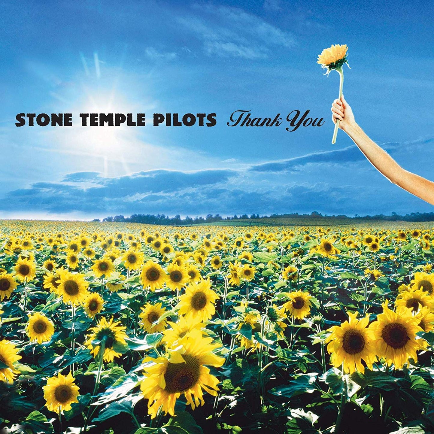 CD - Stone Temple Pilots - Thank You