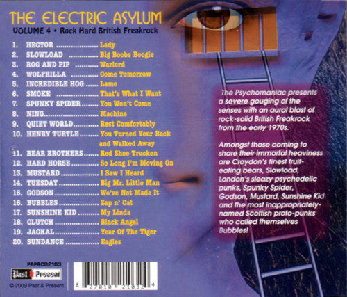 The Electric Asylum Volume 4 Rock Hard British Freakrock - CD