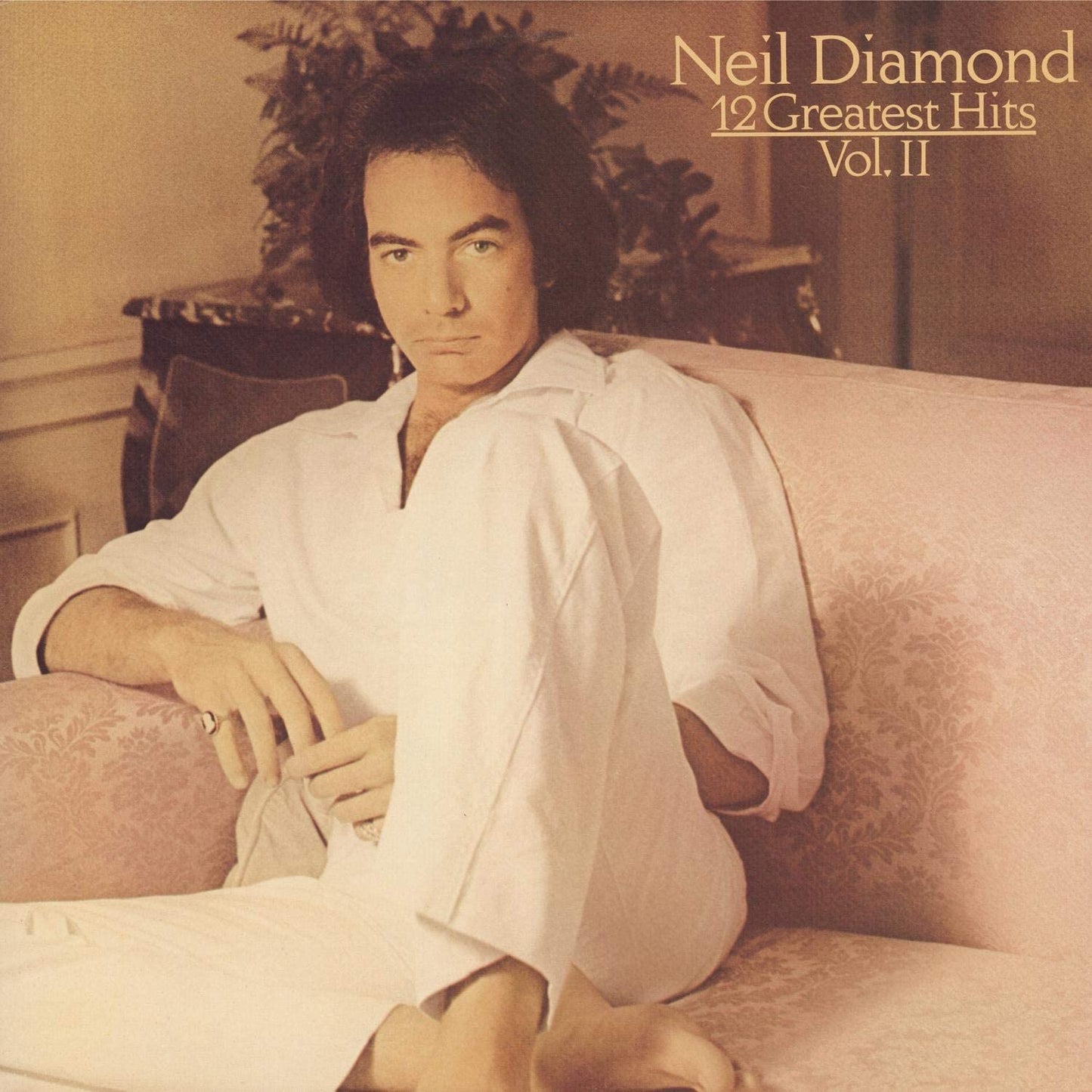 Neil Diamond - 12 Greatest Hits Vol. II - USED CD
