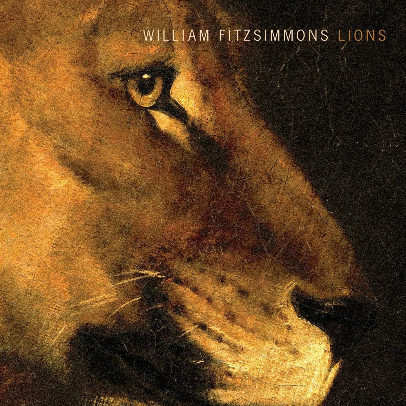William Fitzsimmons – Lions - USED CD
