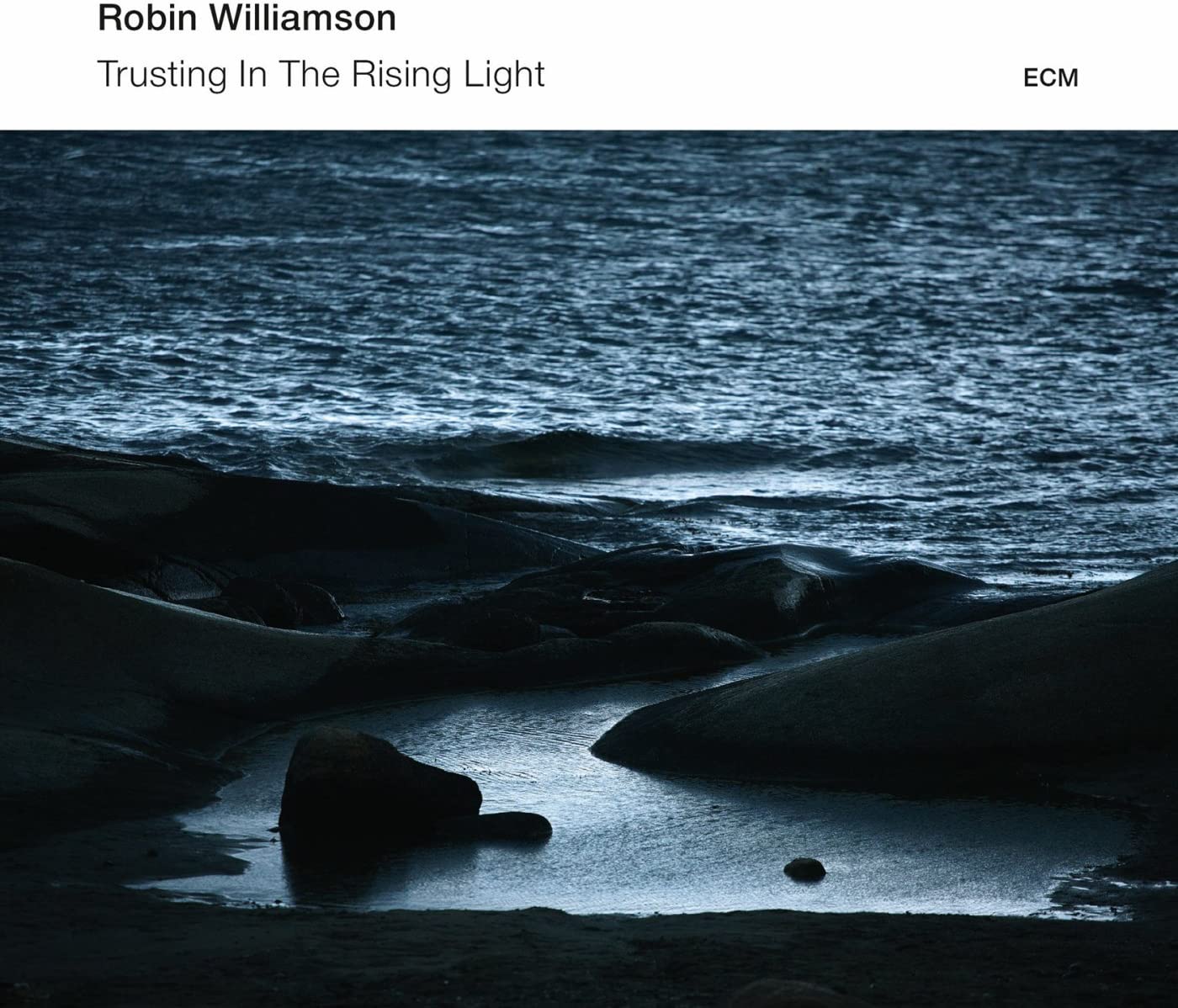 Robin Williamson - Trusting In The Rising Light - CD