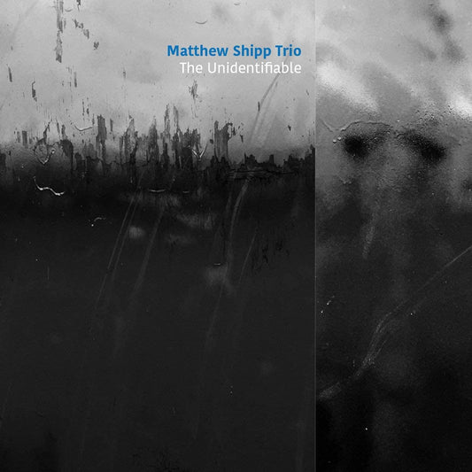 Matthew Shipp String Trio - Unidentifiable - CD